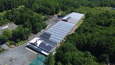 Great Swamp Greenhouses