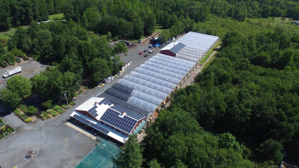 Great Swamp Greenhouses