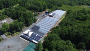 Great Swamp Greenhouses