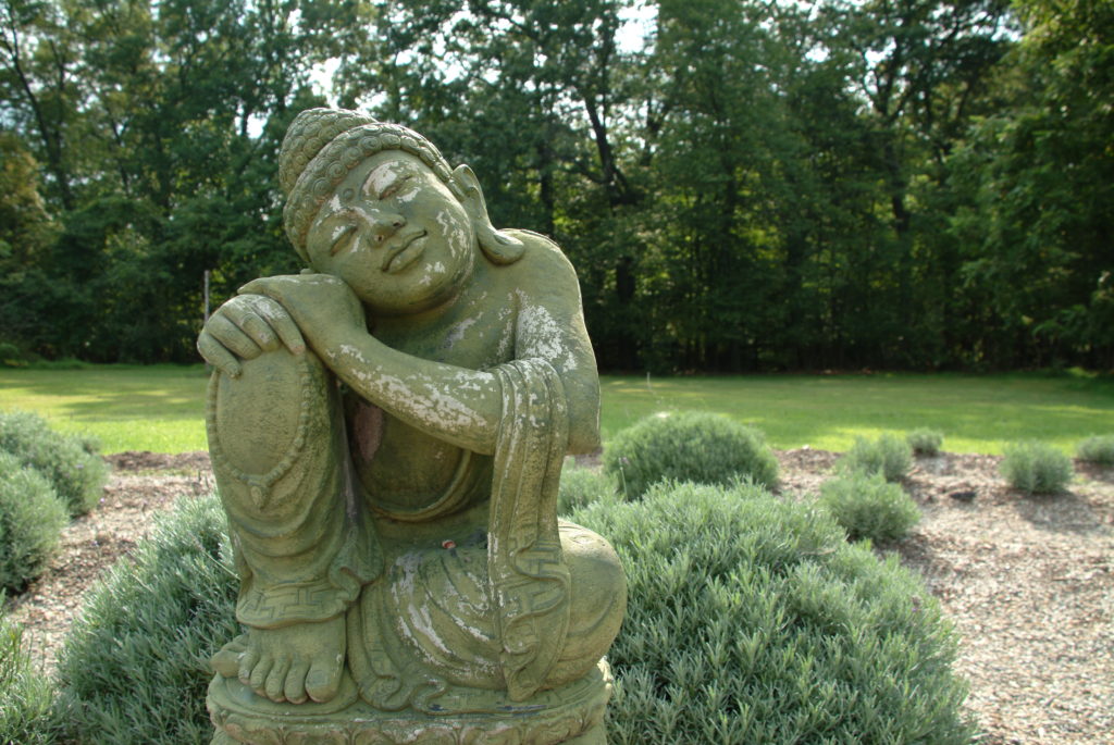 Mad Lavender Farm 